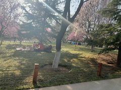 -济南植物园