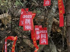 -三百山服务区-停车场