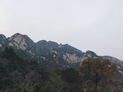 -北京凤凰岭