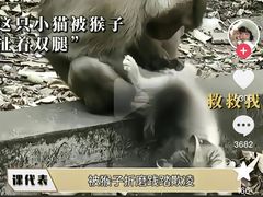 -昆明动物园