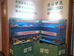 -西郊竹园甲鱼面(老一中店)