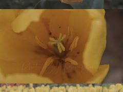 -院士公园