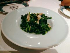 瑶柱豌豆尖-肆月河豚·新淮扬(金融街店)