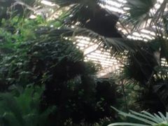 -龙达温泉生态城