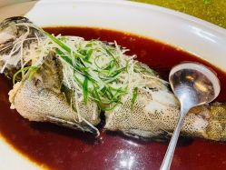 -万悦酒店·宴会厅婚礼会议