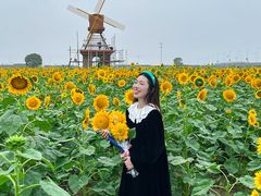 -杭州湾海上花田景区