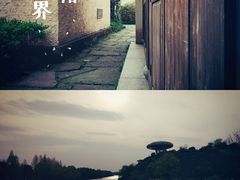 -西溪国家湿地公园