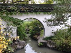 -上海醉白池公园