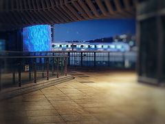 -瑞鹏宠物医院(大运分院)