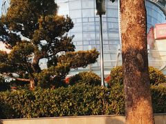 -广西民族博物馆