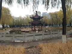 -东北大学(秦皇岛分校)