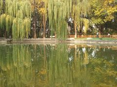 玲珑公园-玲珑塔公园