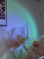 -美肤盾祛痘·问题肌头疗管理中心