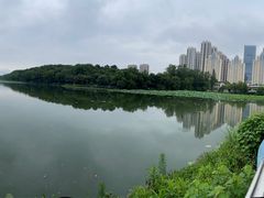 -月湖风景区