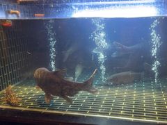 -衢农会·衢州菜·宴请(国际机场店)