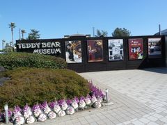 -济州岛泰迪熊博物馆