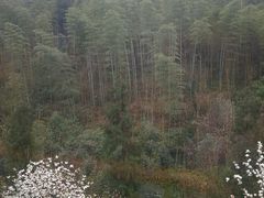 -中铁花水湾温泉酒店(大邑店)