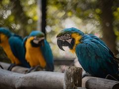 -广东茂名森林公园