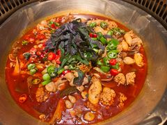 -红运火锅·中国名火锅·国风演绎(省体店)