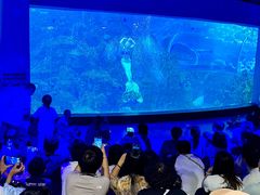 -威海华夏城景区