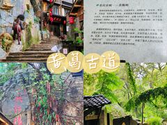 -黄葛古道