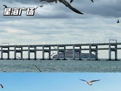 -星海广场