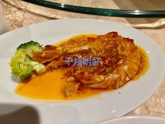 -喜来登由由大酒店九州膳坊中餐厅