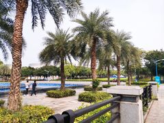 -华南师范大学(广州大学城校区)