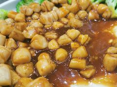 红烧鲜贝柱-老城味道·传统天津菜(杨柳青店)