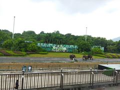 -深圳野生动物园