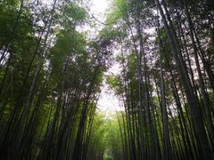 -听风阁农家私房菜茶楼(龙坞店)