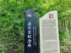 -波尔登森林公园