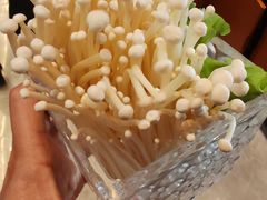 -蒙都43°9羊火锅·赤峰美食(宁城店)