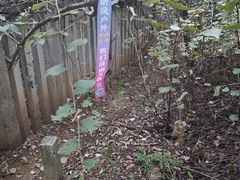 -青龙山国家森林公园