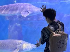 -重庆欢乐海底世界