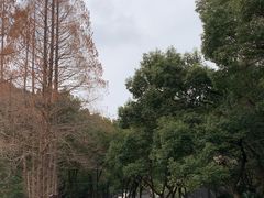 -宁波市保国寺古建筑博物馆