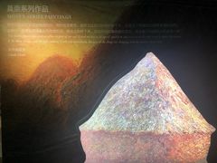 -印象莫奈时光映迹艺术展