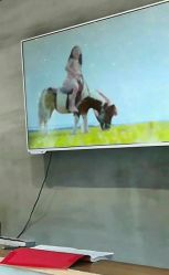 -BabyA 专业婴童摄影(古北时尚广场店)