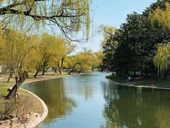 -上海共青森林公园