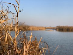 -盐城丹顶鹤湿地生态旅游区