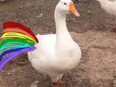 -糖潮糖水铺(省府店)