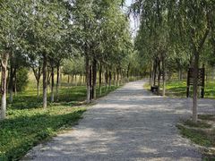 -西青郊野公园