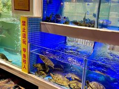 -王捌小院(红花坡店)