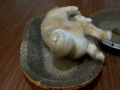 -迎泽公园