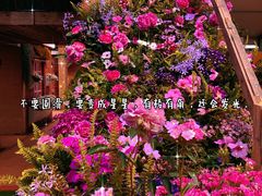 -深圳仙湖植物园