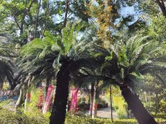 -故乡缘·香格里拉山庄(冷竹路店)