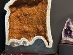 -烟台自然博物馆