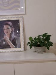 -SILKTONE诗丽堂美容