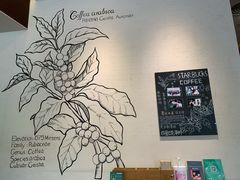 -星巴克(深圳星都豪庭店)