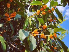 -无锡市市民中心